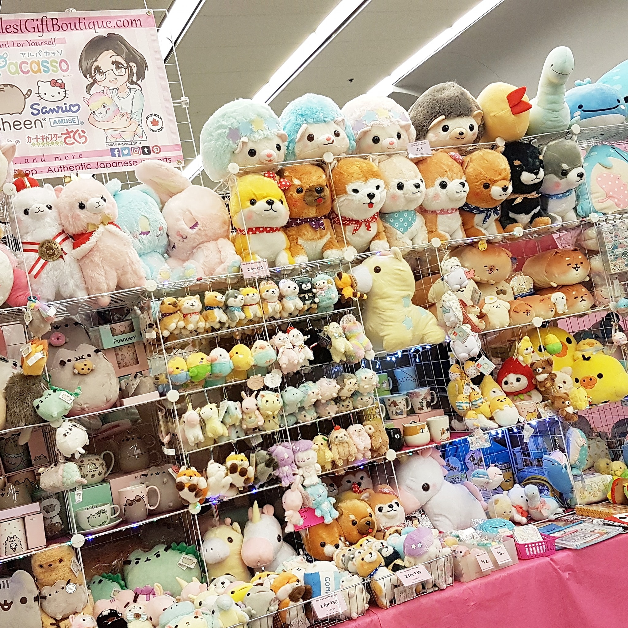 Official Goods Anime Evolution